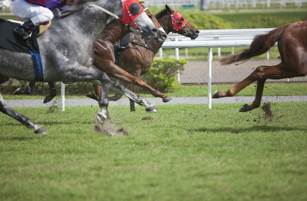 Race track management